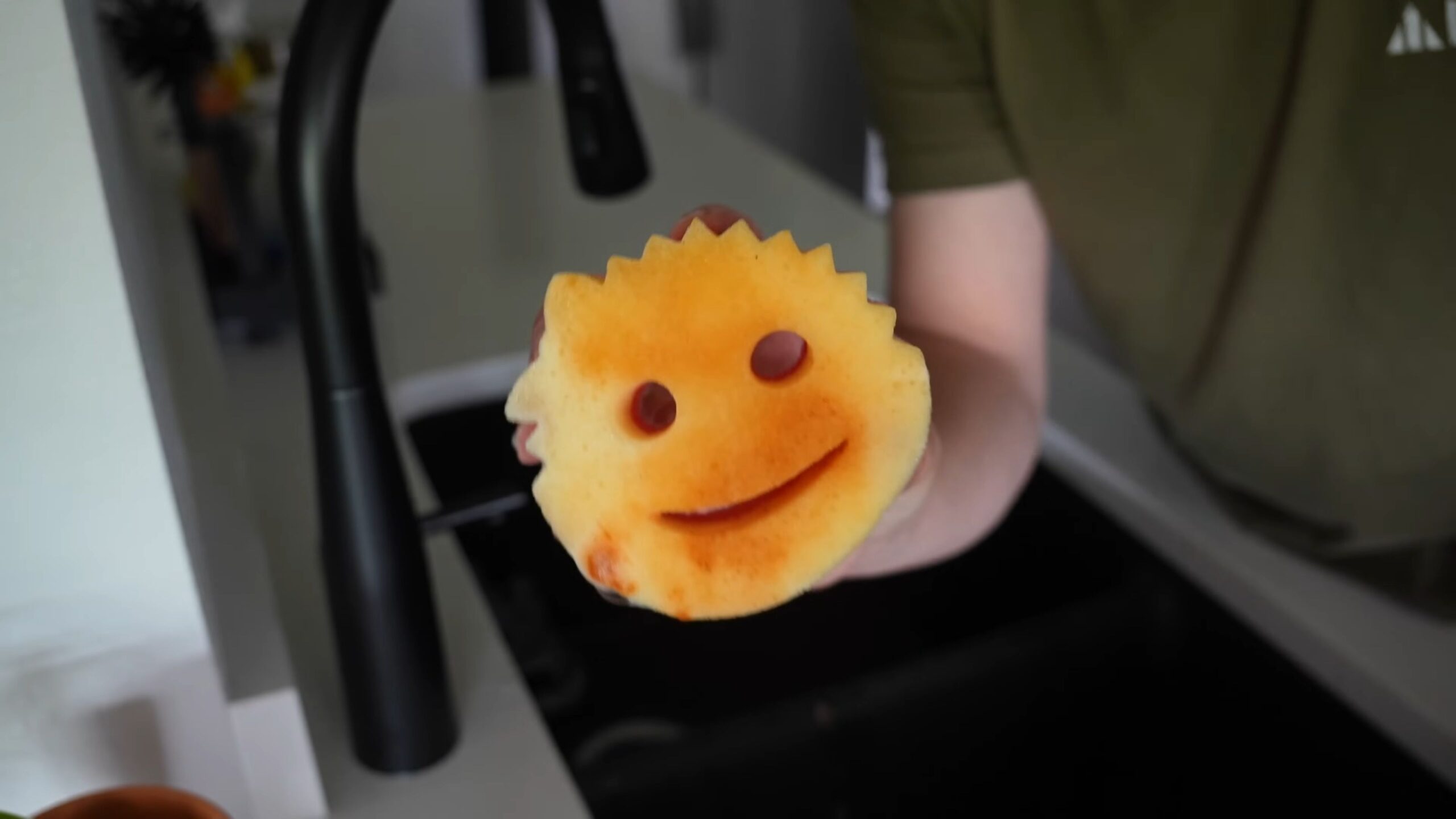 Scrub Daddy Anwendungen DIY