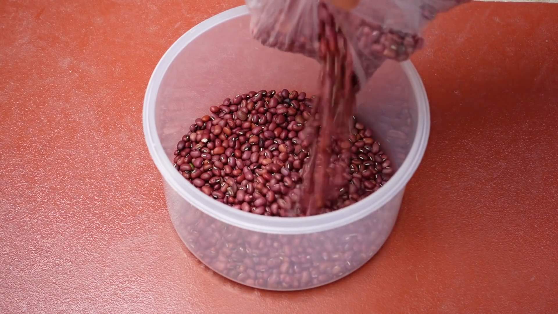 Sprossen selber ziehen